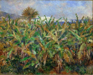 Champs de Bananiers - Bananmark (oliemaleri)