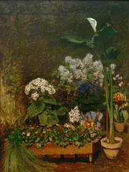 Drivhuset