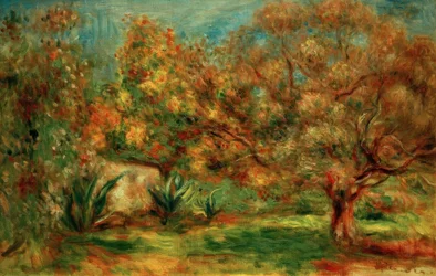 Olivenhave