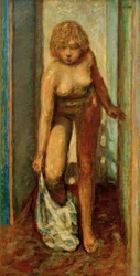 Femme se déshabillant (søger kvinde afklædning)