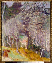 Hus i Oliven
