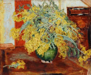 Mimosaer