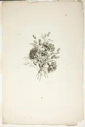 Buket med nelliker, fra samling af forskellige buketter af blomster, opfundet og tegnet af Jean Pillement og indgraveret af P. C. Canot