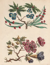To sprøjter af imaginære blomster