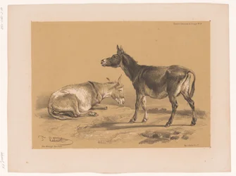 Studie af to æsler Cooper