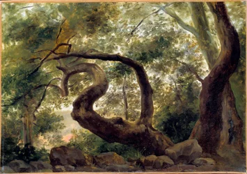 Under træ, træer med snoede grene Maleri af Pierre H. de Valenciennes (1750-1850) 1800-tallet søn. 0,33x0,47 m