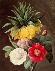 Eksotiske blomster