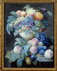 Druer i en kop. Maleri af Pierre Joseph Redoute (1759-1840)