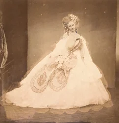 Den Bisi. Boudoir, grå fløjlskjole, pink moire, pink blomster, grå blade af hendes mai,..., 1860