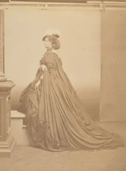 Den fjerklædte hat, 1860