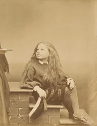 Bjergbestigeren, 1860