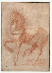Studie af Bucephalus til relieffet "Alexander og Diogenes"