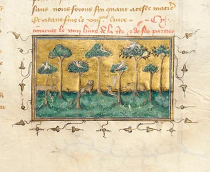 Detalje af en side fra "The Properties of Things" af Englænderen Bartholomew, i den franske oversættelse af Jean Corbechon, ca. 1390