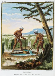 Indien, indfødte vander marker, fra Voyage aux Indes et la Chine (Rejse gennem Indien og Kina) af Pierre Sonnerat