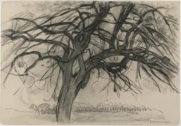 Indledende undersøgelse til aften: Det røde træ, 1908 (sort farveblyant og trækul på papir)
