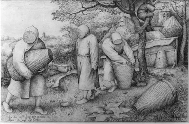 Biavlerne, 