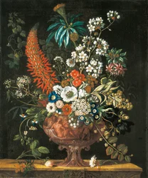 December, from The Twelve Months of Flowers, a floral calendar of still lifes, 1730dani