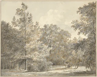 Hjorte i en skov