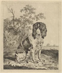 Siddende agerhønehund