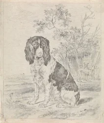 Siddende agerhønehund