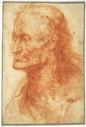 Studie af en gammel mands hoved, ca 1602.