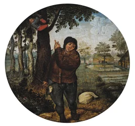 Røver fuglereden