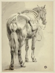 Sadelhest