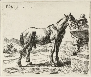Drikkende hest