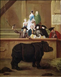 Næsehorn: udstilling af Clara, indisk næsehorn. 1751. Venetiansk museum fra 18. århundrede. Ca