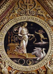 Allegorisk gengivelse af Venus (Fresco