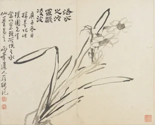 Landskaber, blomster og fugle: Narcissus, Qing-dynastiet