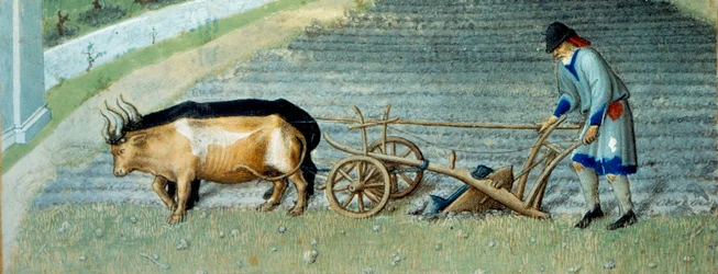 Marts: sne Landbrugsarbejde, bonde pløjer en mark. Detalje. Miniature i "The very rich hours of the Duke of Berry" af Pol De Limburg (1400-tallet). Chantilly, Musee Conde