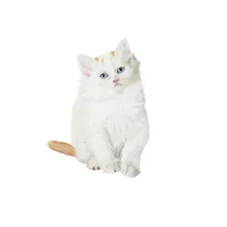Turkish Van kitten, 2014 (akvarel og gouache på papir)