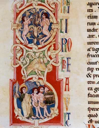 Adam og Eva nær Kundskabens Træ, nedenfor jages de fra Miniature Paradise hentet fra "Det Gamle Testamente"" fra klosteret Santa Cruz i Coimbra i Portugal. Porto fra det 12. århundrede, kommunalt bibliotek