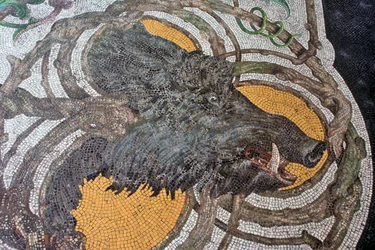 Etage, der forestiller et vildsvin (mosaik)