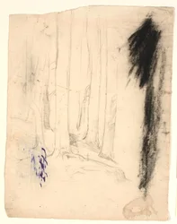 Træstammer