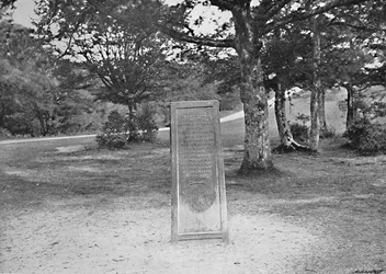 Rufus Stone, New Forest, c1896