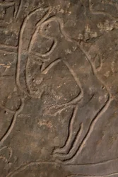 Menneskefigur og tyrehoved (helleristning)