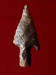 Egyptisk antikvitet: pilspids fra stedet for Fayoum (Fayyum eller Fayum) i Egypten. Prædynastisk periode. Verone, Museo Civico di Storia Naturale, Italien