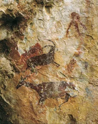 Jagtscene med en hjort og en stenbuk (25000-15000 f.Kr.). Øvre palæolitikum. El Perello, hulen La Cabra Freixet.