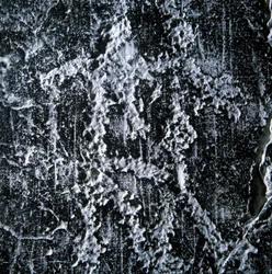 Parringsscene. Forhistorisk graffiti i Camonica-dalen, Foppe di Nardo.