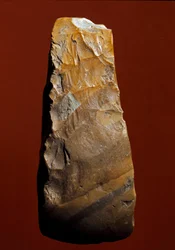 Forhistorie: værktøj af snittetypen af litisk fremstilling af Kjokkenmoddinger, danmark. Palæolitikum. Verone, Museo Civico di Storia Naturale, Italien