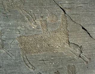 Forhistorie, Camunni-civilisationen, klippekunst: indgraveret klippe med en kriger til hest med et skjold. Perioden mellem yngre stenalder og bronzealderen. Capo di Ponte, Parco nazionale delle incisioni rupestri di Naquane, Valcamonica, Val Camonica