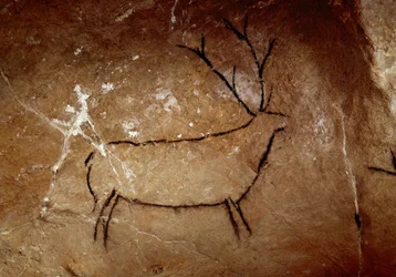 Forhistorie: "" en hjort"" klippemaleri af den øvre palæolitikum (magdalensk) (mellem 16500 og 14000 år siden) Stenaldergrotten i Las Chimeneas, Monte Castillo, Spanien - Forhistorie: en hjort. Øvre palæolitisk hulemaleri (magdalensk) (16.500 og 14.000 år)