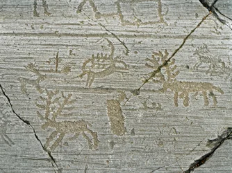 Forhistorie, Camunni-kulturen, klippekunst: gravklippe med fremstilling af hjorte. Perioden mellem bondestenalderen og bronzealderen. Klippe. 1. Capo di Ponte, Parco nazionale delle incisioni rupestri di Naquane, Valcamonica, Val Camonica, Italien