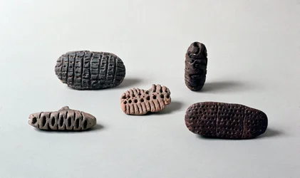 Forhistorie: forskellige pintaderas (sæler) af neolitisk terracotta fra Caverna Delle Arene til Candide (Ligurien). Pegli, Villa Pallavicini-museet