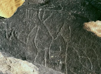 Forhistorie, klippekunst: seriøs rock. Stenalder 5000-2000 f.Kr. Taghit, Hoggar Highland (Ahaggar), Algeriet