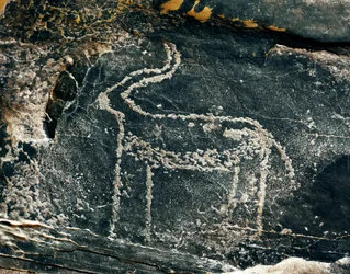 Forhistorie, klippekunst: gravsten af repræsentationen af en antilope. Stenalder 5000-2000 f.Kr. Taghit, Haut plateau du Hoggar (Ahaggar), Algeriet