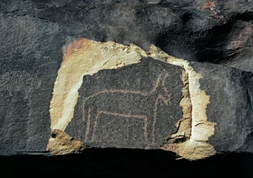Forhistorie, klippekunst: gravsten af repræsentationen af en antilope. Stenalder 5000-2000 f.Kr. Taghit, Haut plateau du Hoggar (Ahaggar), Algeriet