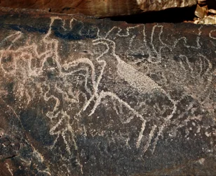 Forhistorie, klippekunst: gravsten af repræsentationen af kvæg. Tazina stil. Stenalder 5000-2000 f.Kr. Taghit, Haut plateau du Hoggar (Ahaggar), Algeriet